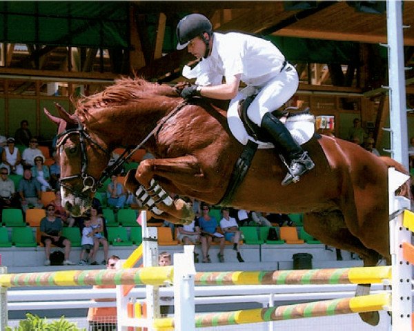 stallion Casse-cou du Moulin (Swiss Warmblood, 1990, from Palestro II)