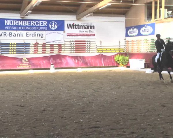 Reitturnier Eicherloh RH Laurent 2017