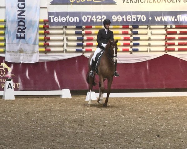 Reitturnier Eicherloh RH Laurent 2017