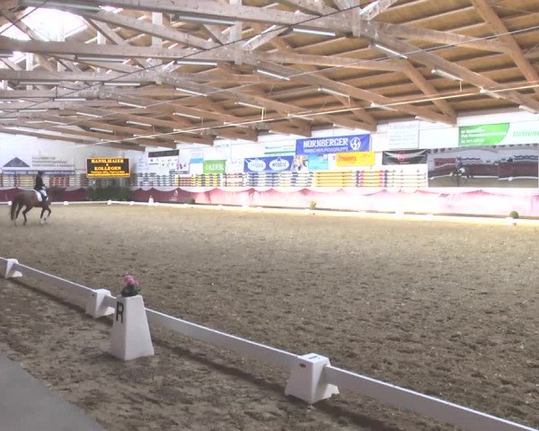 Reitturnier Eicherloh RH Laurent 2017