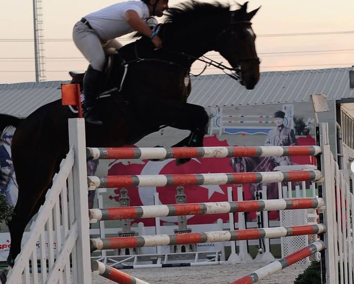 jumper Jalisco van het Lindehof (anglo european sporthorse, 2009, from L.B. Eagle Eye)
