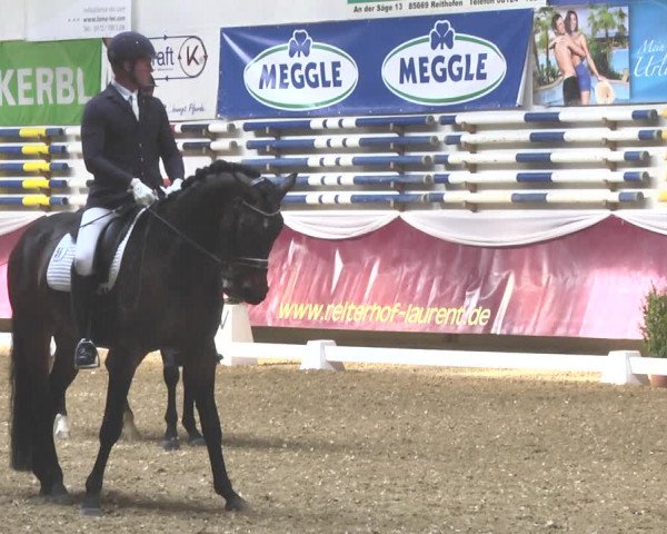 Reitturnier Eicherloh RH Laurent 2017