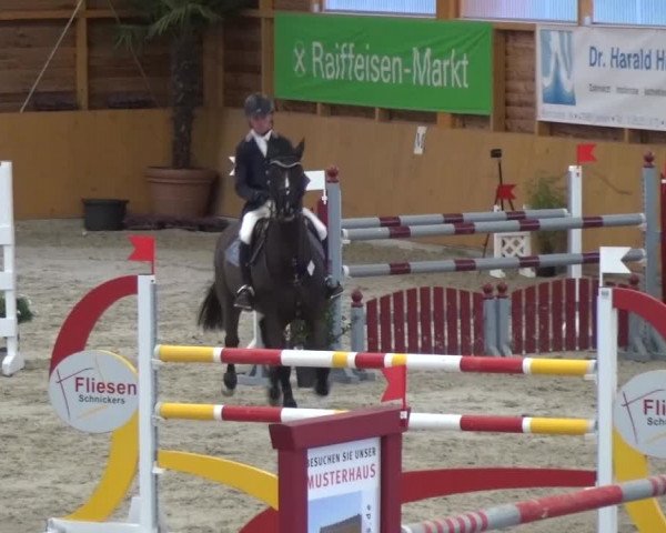 Reitturnier Xanten 2017