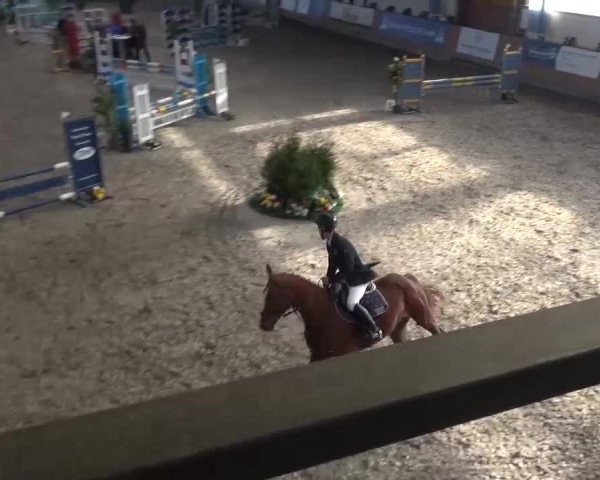 Reitturnier Grevenbroich - Gut Neuhaus 2017