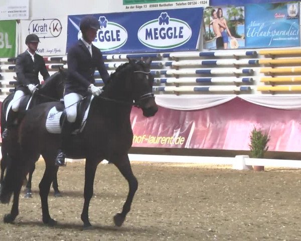 Reitturnier Eicherloh RH Laurent 2017
