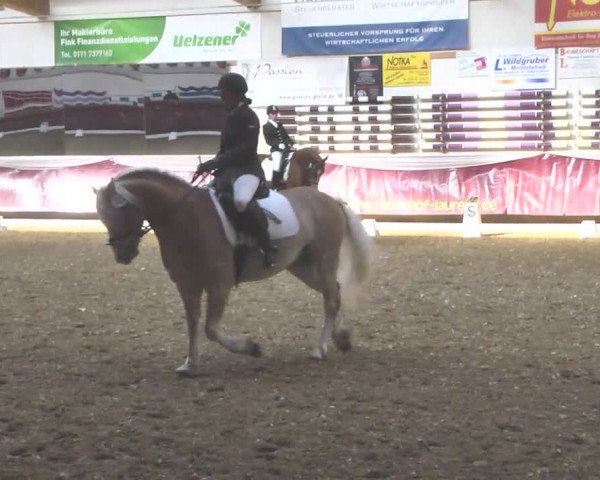 Reitturnier Eicherloh RH Laurent 2017