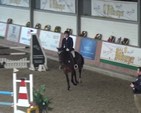 Reitturnier Grevenbroich - Gut Neuhaus 2017
