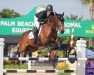 jumper Lou Lou Vls (Belgian Warmblood, 2011, from Elvis Ter Putte)