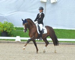 dressage horse Diamant (German Riding Pony, 1997, from Hondsrug Don Gregory)