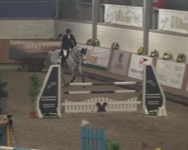 Reitturnier Grevenbroich - Gut Neuhaus 2017