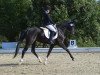 dressage horse Fantasia's Traum (Hanoverian, 2013, from Fiorano)