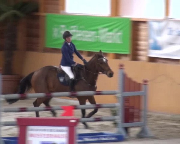 Reitturnier Xanten 2017