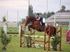 Springpferd Laudano III CH (+) (Schweizer Warmblut, 2001, von Laudatio)