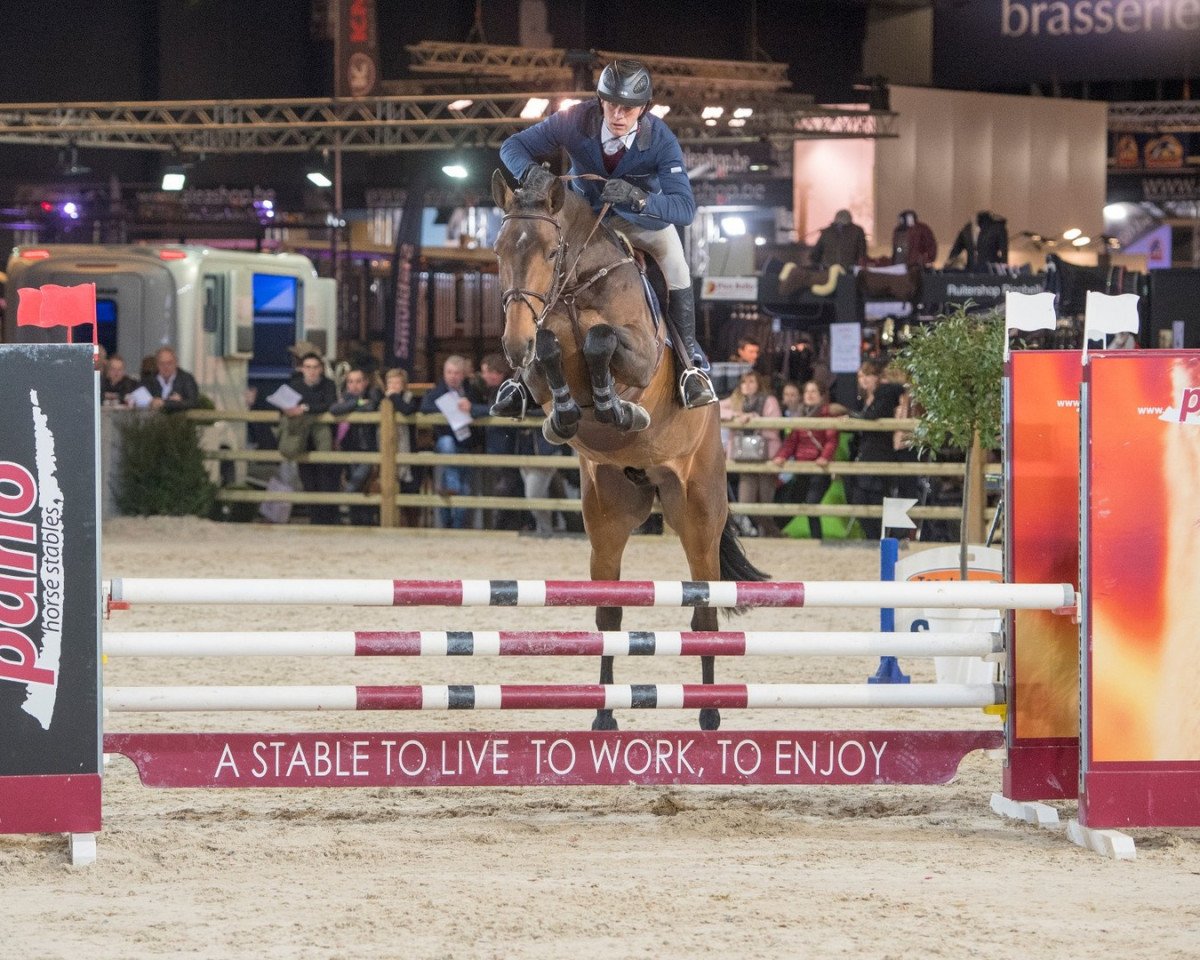 stallion Minute Man (Belgian Warmblood, 2014, from Vigo d'Arsouilles)
