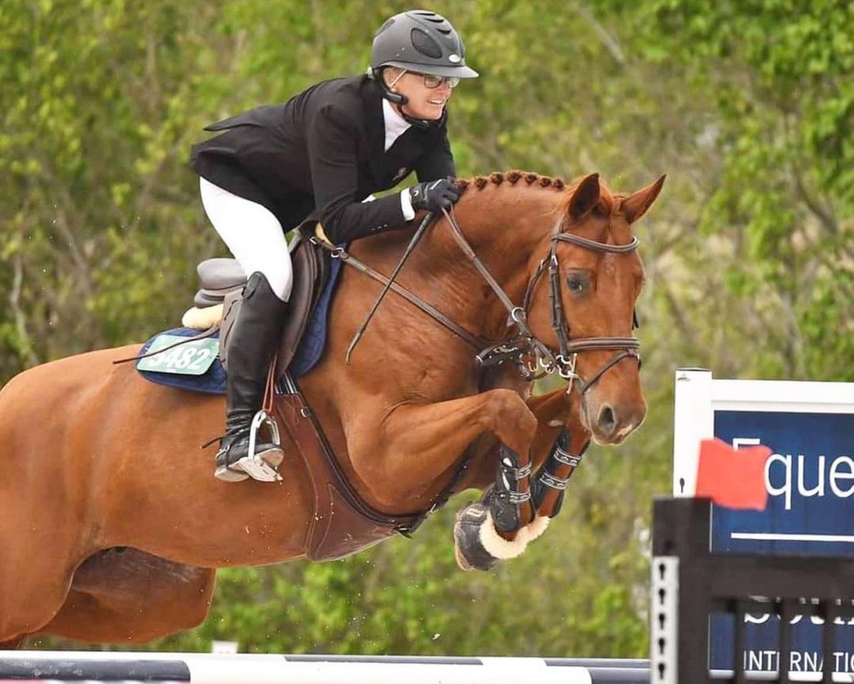 broodmare Fayenka Sitte (Belgium Sporthorse, 2011, from Tinka's Boy)
