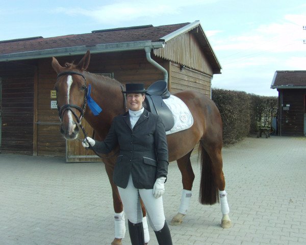 dressage horse Royal Riviana (Hanoverian, 2006, from Royal Blend)
