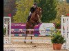 jumper Lucky Star 121 (Oldenburg show jumper, 2005, from Landor S)