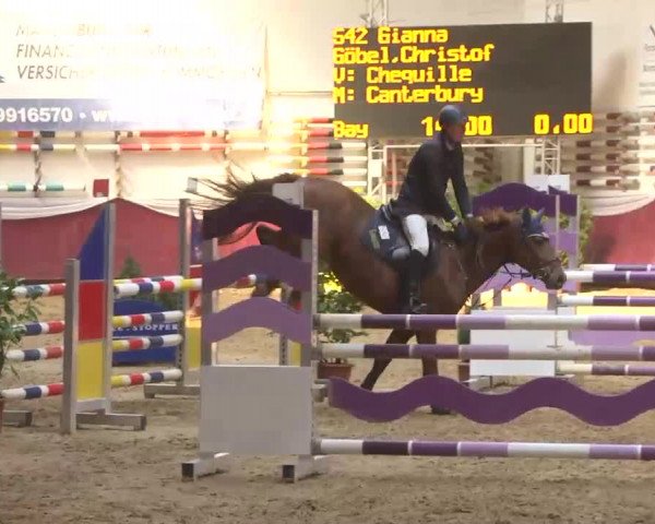 Reitturnier Eicherloh RH Laurent 2017