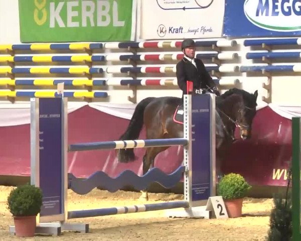 Reitturnier Eicherloh RH Laurent 2017
