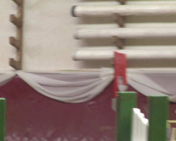 Reitturnier Eicherloh RH Laurent 2017