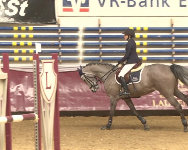 Reitturnier Eicherloh RH Laurent 2017