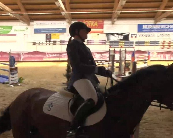 Reitturnier Eicherloh RH Laurent 2017
