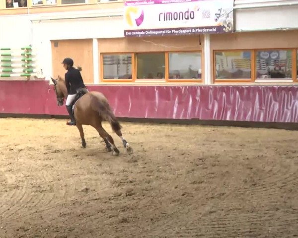 Reitturnier Eicherloh RH Laurent 2017