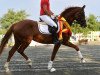 broodmare Lilli Marlen (Austrian Warmblood, 2014, from Bailamos Biolley)