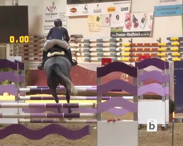 Reitturnier Eicherloh RH Laurent 2017