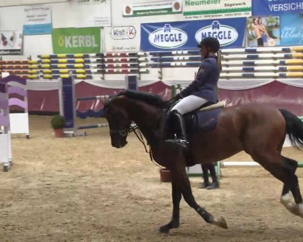 Reitturnier Eicherloh RH Laurent 2017