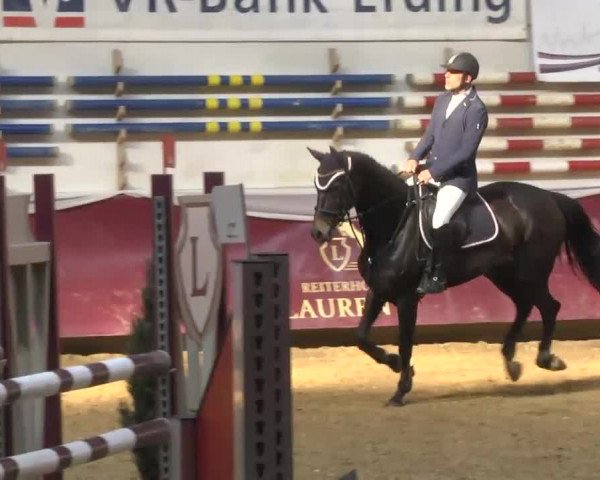 Reitturnier Eicherloh RH Laurent 2017