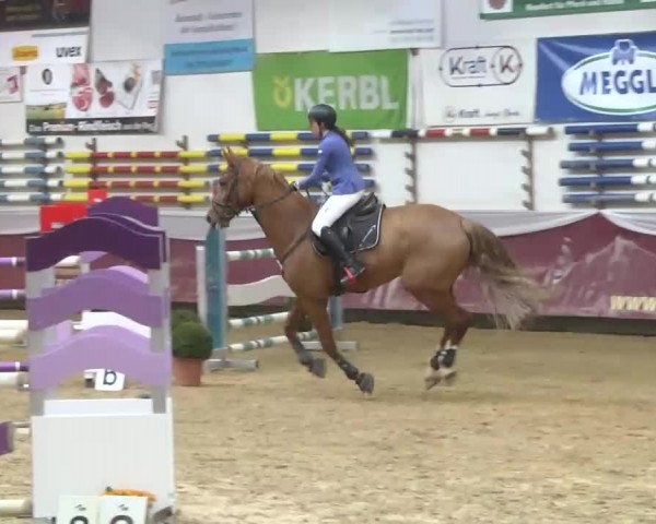Reitturnier Eicherloh RH Laurent 2017