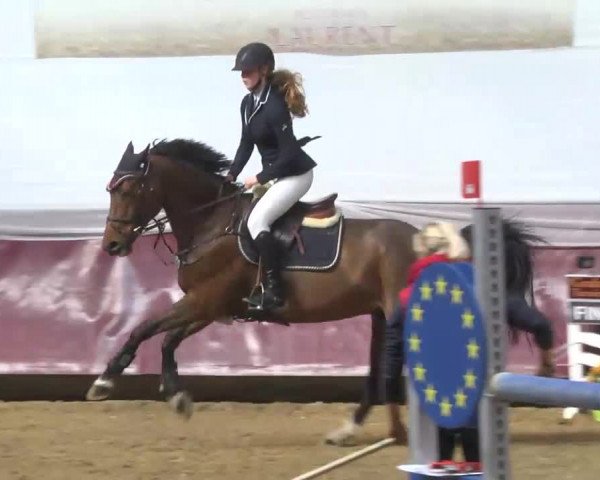 Reitturnier Eicherloh RH Laurent 2017