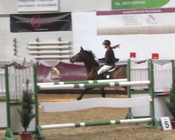 Reitturnier Eicherloh RH Laurent 2017