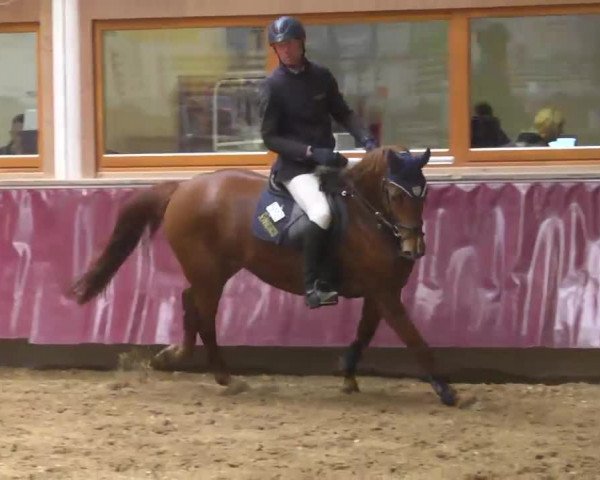 Reitturnier Eicherloh RH Laurent 2017