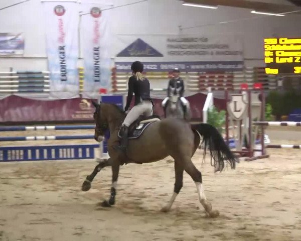 Reitturnier Eicherloh RH Laurent 2017