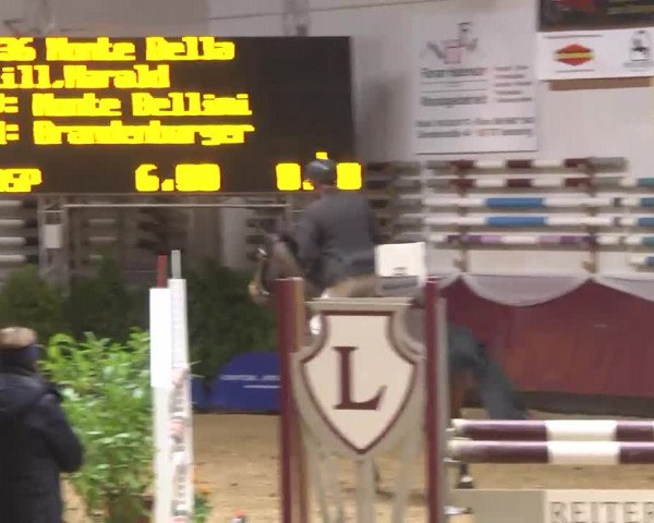 Reitturnier Eicherloh RH Laurent 2017
