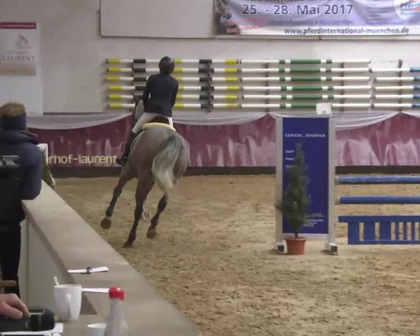 Reitturnier Eicherloh RH Laurent 2017
