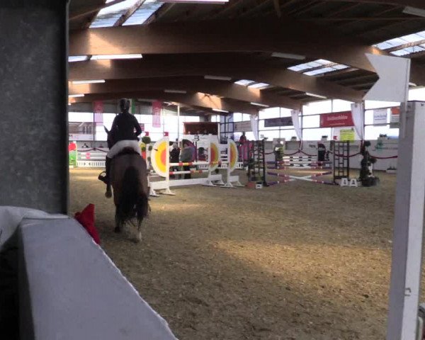 Reitturnier Rhede-Krommert 2017