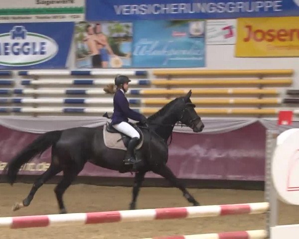Reitturnier Eicherloh RH Laurent 2017