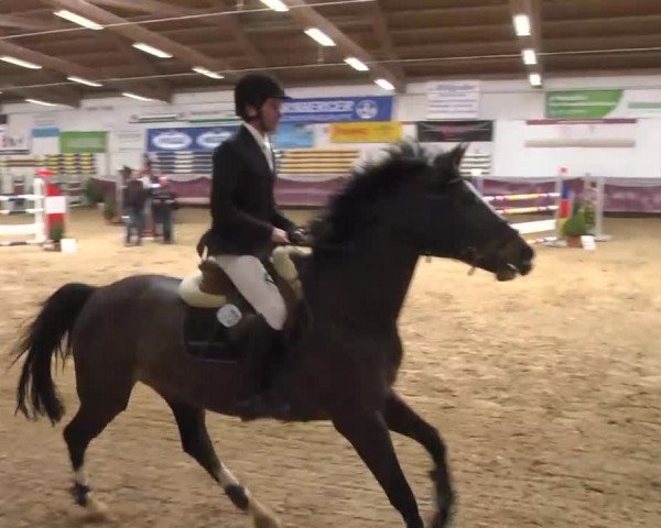 Reitturnier Eicherloh RH Laurent 2017
