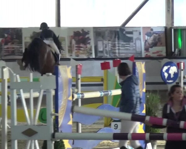 Reitturnier Lindlar-Süttenbach 2017