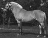 stallion Aladdin FJH 670 (Fjord Horse, 1989, from Knast Halsnæs)