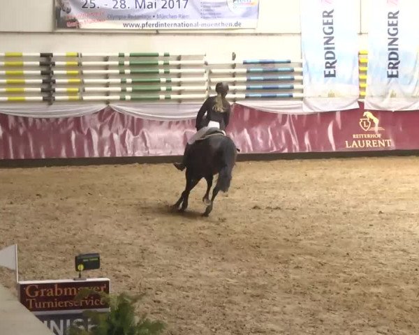 Reitturnier Eicherloh RH Laurent 2017