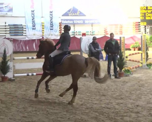 Reitturnier Eicherloh RH Laurent 2017