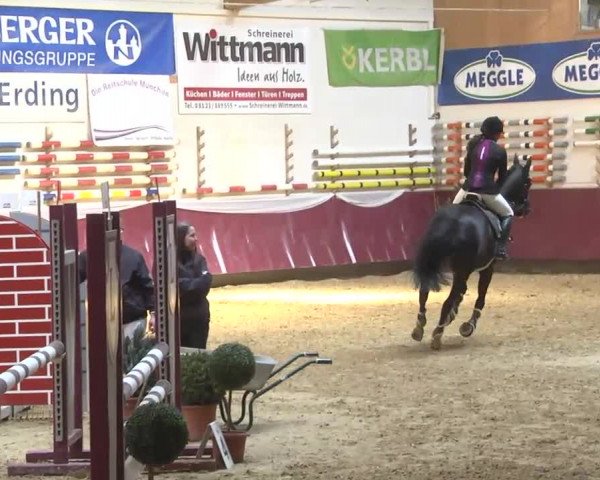 Reitturnier Eicherloh RH Laurent 2017