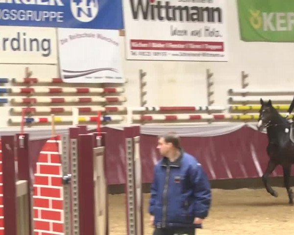 Reitturnier Eicherloh RH Laurent 2017