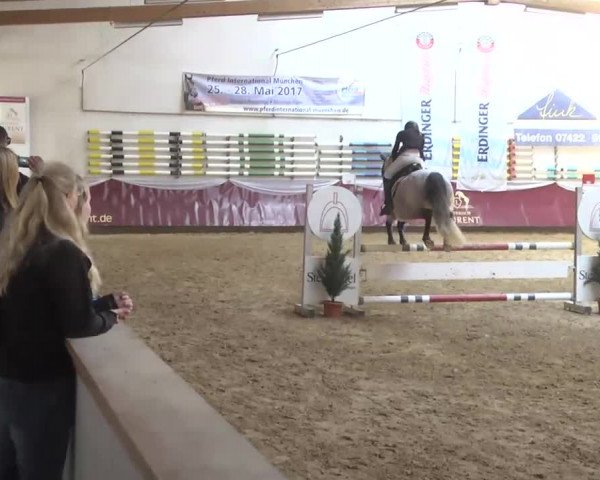 Reitturnier Eicherloh RH Laurent 2017