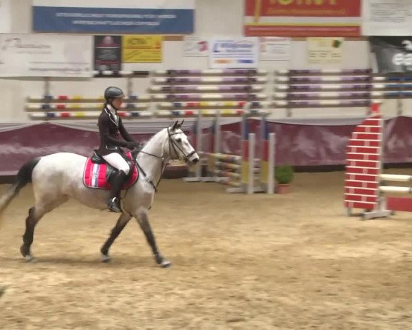 Reitturnier Eicherloh RH Laurent 2017