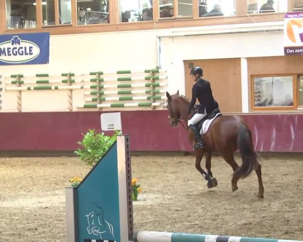 Reitturnier Eicherloh RH Laurent 2017